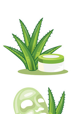 人参护肤品矢量素材 化妆品视觉设计的魅力与创新